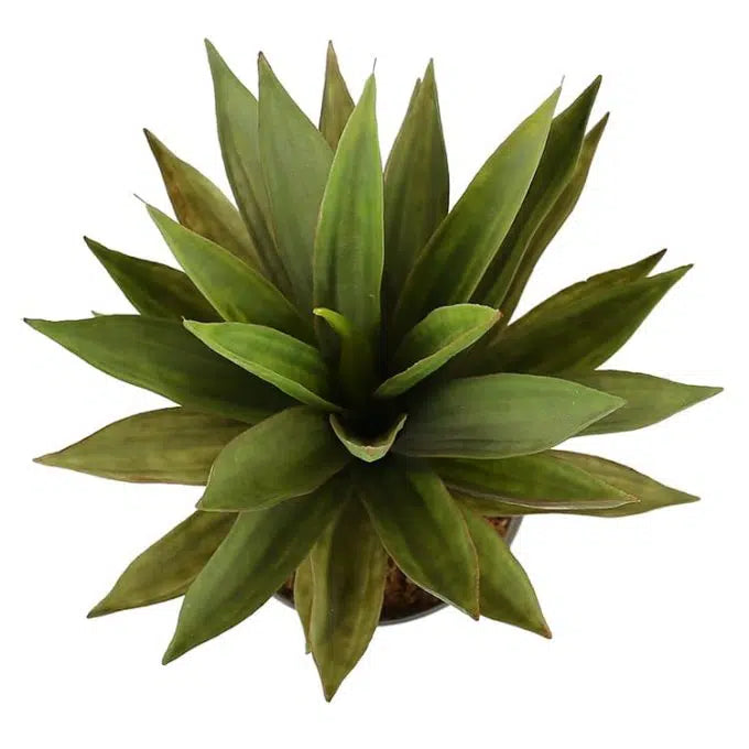 Artificial Dense Potted Aloe Vera Plant 50cm